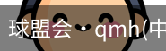 qmh球盟会亚博
